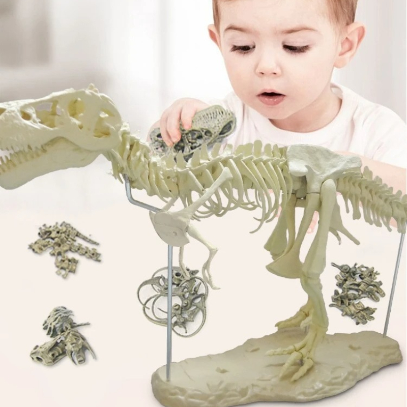 Large DIY Dinosaur Skeleton To - Model Kit Jurassic Park ulasan dan harga